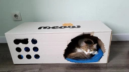 Когтеточка-лежанка для кошек Say Meow Grace гофрокартон, 67х27х24 см (8040190103008) фото от покупателей 9