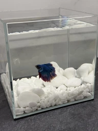 Аквариум настольный для рыб и креветок AquaLighter DAQUARIUM 5 л 17×17×17 см Optiwhite сверхпрозрачное стекло кубический прозрачный (покровное стекло + полиуретановая подкладка) Арт. 7140 фото от покупателей 1