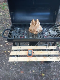 Кухонный термометр для мяса с 2 зондами ThermoPro TP20C