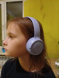 Наушники JBL Tune 520BT Purple (JBLT520BTPUREU) фото от покупателей 13