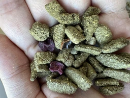 Натуральна клітковинна закуска для кроликів та гризунів Versele‑Laga Nature Snack Fibres 500 г фото від покупців 1