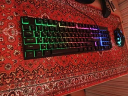 Клавиатура проводная GamePro GK296 USB RGB Black фото от покупателей 11