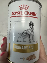Вологий корм для собак Royal Canin Urinary S/O при захворюваннях нижніх сечовивідних шляхів, 410 г