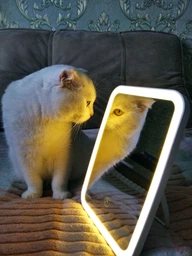 Дзеркало для макіяжу акумуляторне безпровідне 3 режими Smart LED Makeup Mirror косметичне настільне з LED підсвіткою у ванну кімнату біле фото від покупців 18