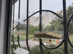 Кормушка для птиц на оконное стекло