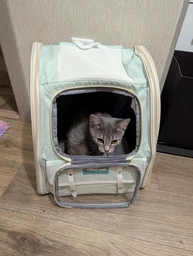 Рюкзак переноска для кота кошки котенка собаки до 8 кг с прозрачным окошком серый (002289) фото от покупателей 9