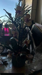 Конструктор Орхидея 608 деталей Ботаническая коллекция Набор Botanical Orchid Оригинальный подарок девушке и маме конструктор цветы фото от покупателей 10