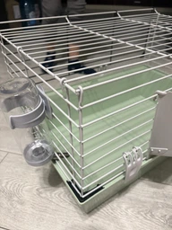 Клетка для грызунов и морских свинок Ferplast Guinea 60 фисташковая 58х38х31.5 см 57012411W2 фото от покупателей 1