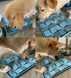 Коврик для поиска корма WAUDOG Silicone 205х205х17 мм Серый (4823089367101) фото от покупателей 2