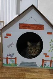 Домик для собак и кошек Lucky Pet ЭКО Домик "Уикенд" 45x45x45 см Белый (4820224213231) фото от покупателей 10
