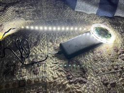 Светодиодная LED Strips лента 2835 5 м белый цвет для украшения кухни, комнаты, гардеробной, витрин фото от покупателей 9