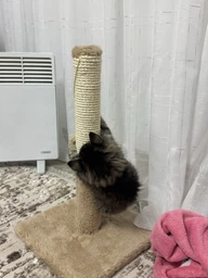 Дряпка для котів Lucky Pet ДКП сизаль сіра міні, хутро біле 30x30x51см фото від покупців 2