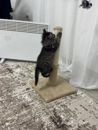 Дряпка для котів Lucky Pet ДКП сизаль сіра міні, хутро біле 30x30x51см