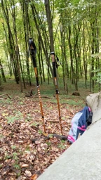Палки для похода горные Eagle Rock TREK0312 (оранж) Туристические палки для хайкинга треккинга бэкпекинга регулируемые фото от покупателей 5