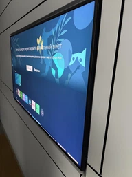 Телевизор Samsung QLED 85" QE85LS03FAUXUA фото от покупателей 3