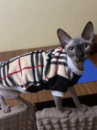 Теплая кофта с рукавом для кота или кошки Style Pets "BARB" L-