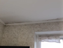 Засіб San Clean Prof Line для видалення плісняви та бруду 750 г (4820003544211) фото від покупців 3