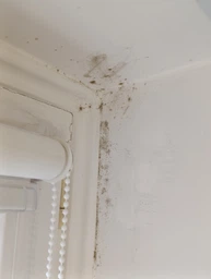 Засіб San Clean Prof Line для видалення плісняви та бруду 750 г (4820003544211) фото від покупців 2