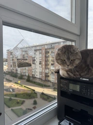 Кормушка для птиц на окно House_for_birds "Теремок" фото от покупателей 5