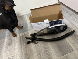 Автомобільний пилосос Vacuum Cleaner JM-XC120 8079 120W 2200 мАч чорний