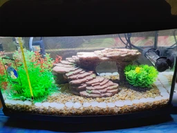 Аквариумный комплект ZooCool T4-LED овальный 400-250-200 (20л) 4мм фото от покупателей 2