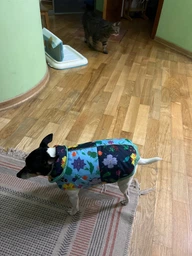 Жилет для собак Pet Fashion Grass XS фото от покупателей 3