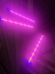 Фитолампа USB для роста растений на 3 лампы, светодиодная LED фито лампа на прищепке светильник для комнатных цветов и рассады фото от покупателей 6