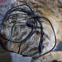 Наушники Samsung IC100B Type-C Black (EO-IC100BBEGRU) фото от покупателей 5