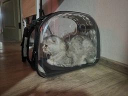 Сумка переноска mini Pet прозора для домашніх тварин (кішок, собак, кроликів і ін.) (Код: IBH010B) фото від покупців 1