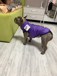 Курточка для собак Airy Vest ONE размер L 55 Салатовая (20745Collar) фото от покупателей 14