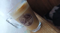 Кавоварка ріжкова RZTK Barista фото від покупців 8