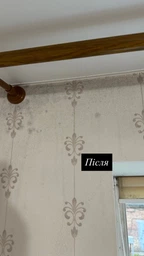 Спрей для видалення плісняви та грибка Jaysuing Anti-Mould Cleaning, 200 мл (X-1634) фото від покупців 1