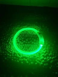 Ошейник для собак с подсветкой WAUDOG LED NASA21 Type-C S-M Ш 25 мм Дл 31-45 см (272-0148collar)