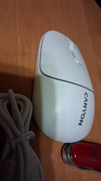 Мышка Canyon MW-22 Dual Band RGB Wireless Mountain Lavender (CNS-CMSW22ML) фото от покупателей 11