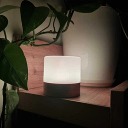 Ночник на аккумуляторе настольный детский светодиодный ночная led лампа в спальню с подсветкой с пультом маленький 7 цветов сенсорный для сна новорожденных компактный лед ночник подарок для мальчика девочки OnePro Бежевый 73731 фото от покупателей 19