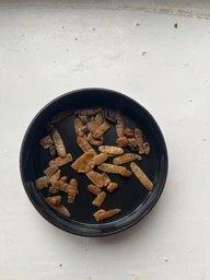 Опариш сухий натуральний Буся Maggot. Банка 450мл/160г