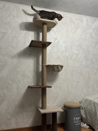 Дряпка для кота Мур-Мяу Дана 50х50х210см для кішок у сизалевій мотузці Коричнево-бежевий МТ