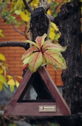 Подвесная садовая кормушка для птиц House_for_birds "Вигвам" фото от покупателей 8