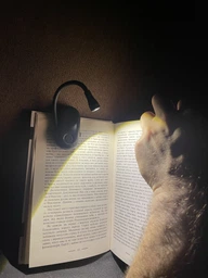 LED мини лампа фонарик на прищепке клипсе для чтения книг LOSSO LJC-182 черный фото от покупателей 2
