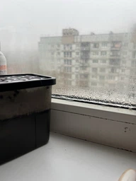 Влагопоглотитель с антигрибковым эффектом MZ бамбуковый 800 мл поглотитель влаги для дома от плесени сырости запахов осушитель воздуха защита от конденсата влажности шкаф ванная (PVP-133) фото от покупателей 7