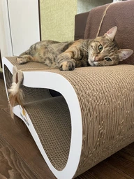 Когтеточка-лежанка для кошек Say Meow Grace гофрокартон, 67х27х24 см (8040190103008) фото от покупателей 7