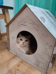 Домик для собак и кошек Lucky Pet ЭКО Домик "Уикенд" 45x45x45 см Белый (4820224213231) фото от покупателей 3