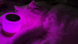 Ночник на аккумуляторе настольный детский светодиодный ночная led лампа в спальню с подсветкой с пультом маленький 7 цветов сенсорный для сна новорожденных компактный лед ночник подарок для мальчика девочки OnePro Бежевый 73731 фото от покупателей 16