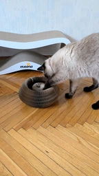 Гофрированая когтеточка лежанка для кота, картонная игрушка круглая, с мячиком, 24х10 см 1006254201 фото от покупателей 2