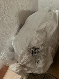 Сухой корм Purina Pro Plan Sterilised с кроликом для стерилизованных кошек и кастрированных котов 1,5 кг фото от покупателей 3