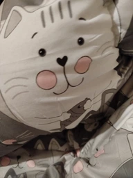 Одеяло Руно зимнее двуспальное 172x205 см антиаллергенное волокно Grey Cat (Р316.52СЛУ_Grey Cat) фото от покупателей 15