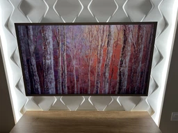 Телевизор Samsung QLED 43" QE43LS03DAUXUA фото от покупателей 1