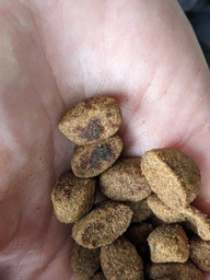 Сухий корм для дорослих активних собак від 1 року Carpathian Pet Food Active з куркою і скумбрією, 12 кг фото от покупателей 1