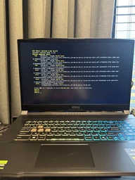 Ноутбук MSI Katana 17 B13VFK (B13VFK-1493XUA) Black / 17.3" IPS 144 Гц / Intel Core i7-13620H / RAM 16 ГБ / SSD 1 ТБ / RTX 4060, 8 ГБ (TDP 105 Вт) / LAN / 4-Zone RGB Подсветка клавиатуры фото от покупателей 18