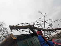 Pilarka łańcuchowa akumulatorowa YATO YT-828137 (5906083089343)   Zdjęcie od kupującego 1